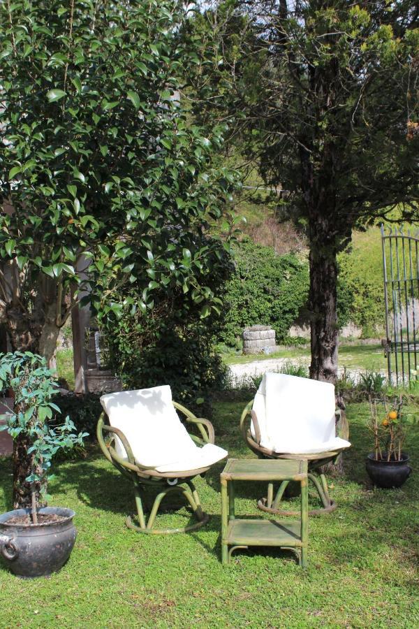 Magnolia * Pian di Mulino